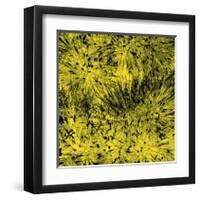 Grass (yellow), c.2011-Davide Polla-Framed Premium Giclee Print