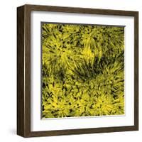 Grass (yellow), c.2011-Davide Polla-Framed Premium Giclee Print