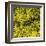 Grass (yellow), c.2011-Davide Polla-Framed Premium Giclee Print