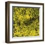 Grass (yellow), c.2011-Davide Polla-Framed Premium Giclee Print