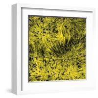 Grass (yellow), c.2011-Davide Polla-Framed Premium Giclee Print