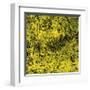 Grass (yellow), c.2011-Davide Polla-Framed Premium Giclee Print