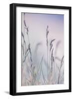 Grass-Viviane Fedieu Danielle-Framed Photographic Print