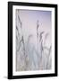 Grass-Viviane Fedieu Danielle-Framed Photographic Print