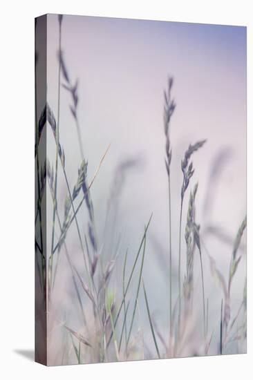Grass-Viviane Fedieu Danielle-Stretched Canvas