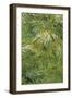 Grass-Vincent van Gogh-Framed Art Print