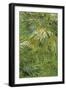 Grass-Vincent van Gogh-Framed Art Print