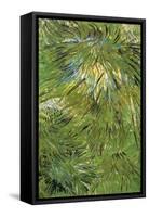 Grass-Vincent van Gogh-Framed Stretched Canvas