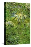 Grass-Vincent van Gogh-Stretched Canvas