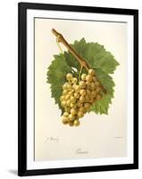 Grassa Grape-J. Troncy-Framed Giclee Print