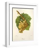 Grassa Grape-J. Troncy-Framed Giclee Print