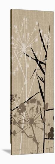 Grasses 1 Brown-Diane Stimson-Stretched Canvas