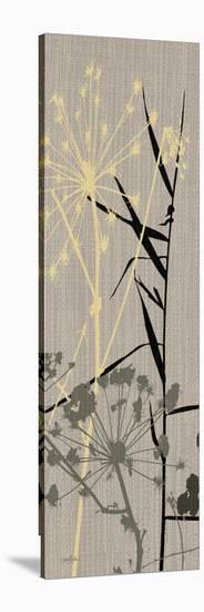 Grasses 1 Gray-Diane Stimson-Stretched Canvas