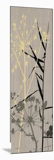 Grasses 1 Gray-Diane Stimson-Mounted Art Print