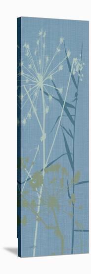 Grasses 1-Diane Stimson-Stretched Canvas