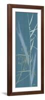 Grasses 2-Diane Stimson-Framed Art Print