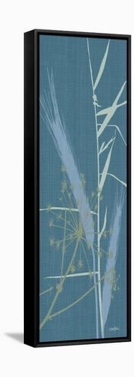 Grasses 2-Diane Stimson-Framed Stretched Canvas