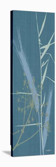 Grasses 2-Diane Stimson-Stretched Canvas