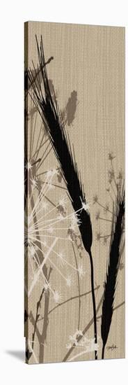 Grasses 3 Gray-Diane Stimson-Stretched Canvas