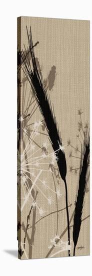 Grasses 3 Gray-Diane Stimson-Stretched Canvas