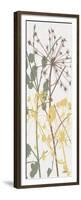 Grasses 3-Diane Stimson-Framed Premium Giclee Print