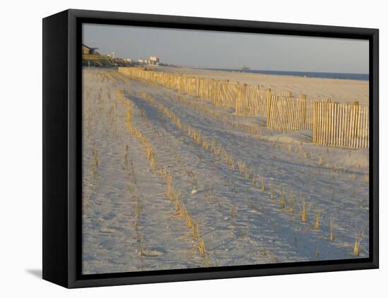 Grasses and Fences on Beach, Folly Island, Charleston, South Carolina, USA-Corey Hilz-Framed Stretched Canvas