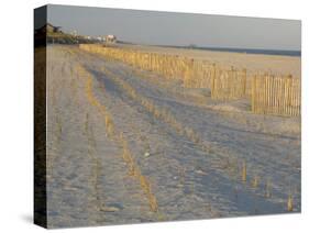 Grasses and Fences on Beach, Folly Island, Charleston, South Carolina, USA-Corey Hilz-Stretched Canvas