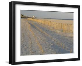 Grasses and Fences on Beach, Folly Island, Charleston, South Carolina, USA-Corey Hilz-Framed Premium Photographic Print