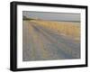 Grasses and Fences on Beach, Folly Island, Charleston, South Carolina, USA-Corey Hilz-Framed Premium Photographic Print