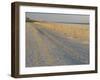 Grasses and Fences on Beach, Folly Island, Charleston, South Carolina, USA-Corey Hilz-Framed Photographic Print