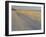 Grasses and Fences on Beach, Folly Island, Charleston, South Carolina, USA-Corey Hilz-Framed Photographic Print