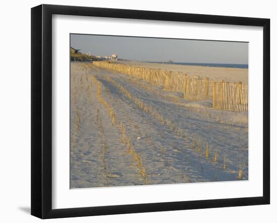 Grasses and Fences on Beach, Folly Island, Charleston, South Carolina, USA-Corey Hilz-Framed Photographic Print