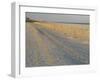 Grasses and Fences on Beach, Folly Island, Charleston, South Carolina, USA-Corey Hilz-Framed Photographic Print