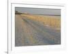 Grasses and Fences on Beach, Folly Island, Charleston, South Carolina, USA-Corey Hilz-Framed Photographic Print