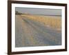 Grasses and Fences on Beach, Folly Island, Charleston, South Carolina, USA-Corey Hilz-Framed Photographic Print