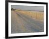 Grasses and Fences on Beach, Folly Island, Charleston, South Carolina, USA-Corey Hilz-Framed Photographic Print