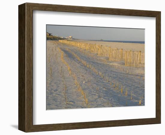 Grasses and Fences on Beach, Folly Island, Charleston, South Carolina, USA-Corey Hilz-Framed Photographic Print