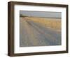 Grasses and Fences on Beach, Folly Island, Charleston, South Carolina, USA-Corey Hilz-Framed Photographic Print