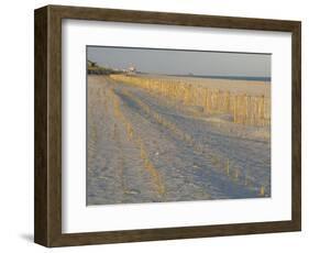 Grasses and Fences on Beach, Folly Island, Charleston, South Carolina, USA-Corey Hilz-Framed Photographic Print