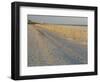 Grasses and Fences on Beach, Folly Island, Charleston, South Carolina, USA-Corey Hilz-Framed Photographic Print