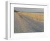 Grasses and Fences on Beach, Folly Island, Charleston, South Carolina, USA-Corey Hilz-Framed Photographic Print