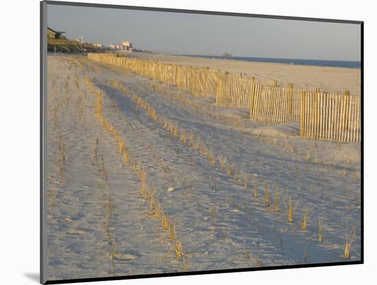 Grasses and Fences on Beach, Folly Island, Charleston, South Carolina, USA-Corey Hilz-Mounted Photographic Print