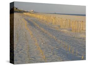 Grasses and Fences on Beach, Folly Island, Charleston, South Carolina, USA-Corey Hilz-Stretched Canvas