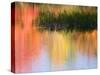 Grasses Growing in Water Reflecting, South Paris, Maine, USA-Wendy Kaveney-Stretched Canvas