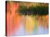 Grasses Growing in Water Reflecting, South Paris, Maine, USA-Wendy Kaveney-Stretched Canvas