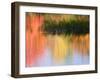 Grasses Growing in Water Reflecting, South Paris, Maine, USA-Wendy Kaveney-Framed Photographic Print