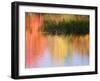 Grasses Growing in Water Reflecting, South Paris, Maine, USA-Wendy Kaveney-Framed Photographic Print