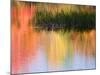 Grasses Growing in Water Reflecting, South Paris, Maine, USA-Wendy Kaveney-Mounted Photographic Print