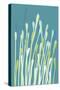 Grasses I-Christine O’Brien-Stretched Canvas