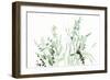 Grasses I-Katrina Pete-Framed Art Print